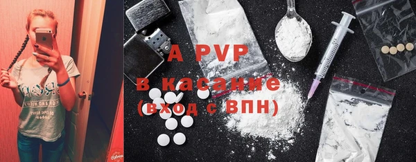 apvp Алексин
