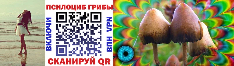 Галлюциногенные грибы ЛСД  где купить наркотик  Чебоксары 